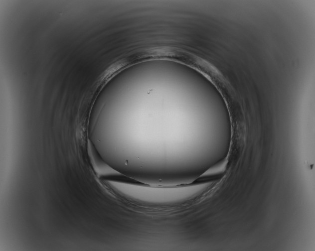 X0000086321225200704131646