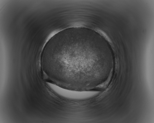 X0000086321226200704131646