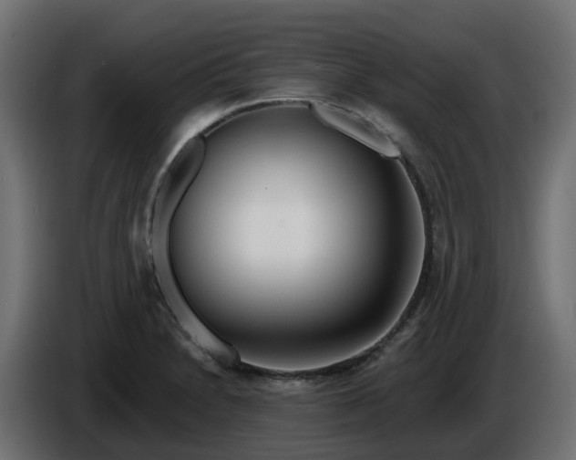 X0000086321230200704131646