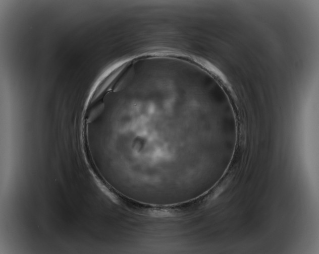 X0000086321231200704131646