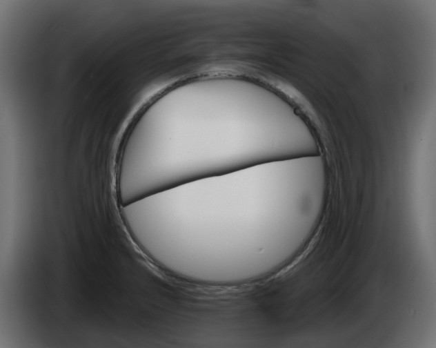 X0000086321232200704131646