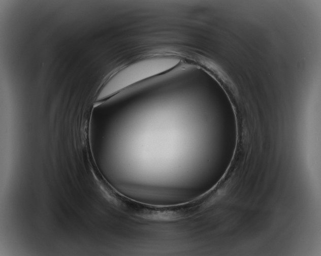 X0000086321233200704131646