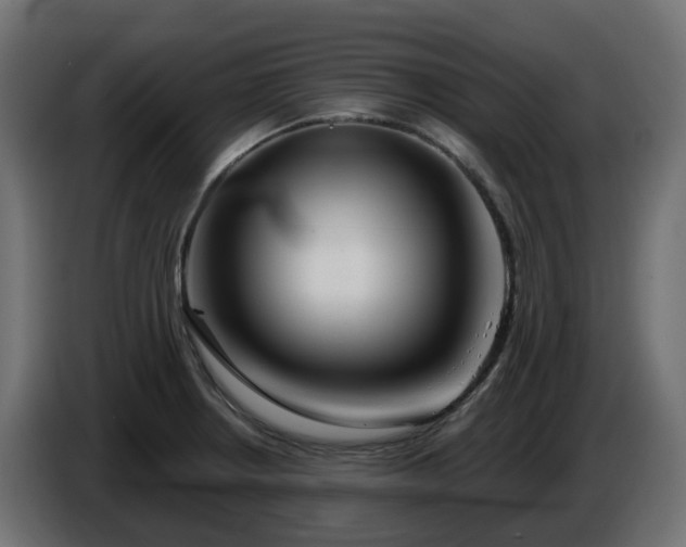 X0000086321234200704131646