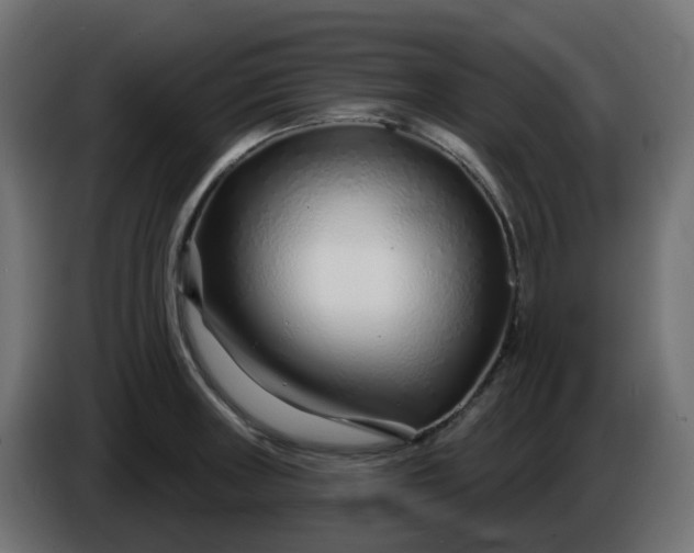 X0000086321235200704131646