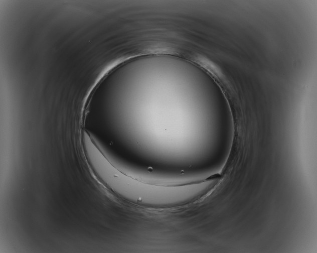 X0000086321236200704131646