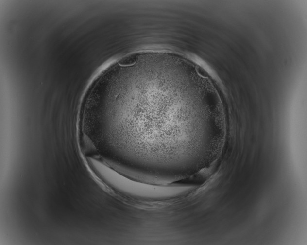 X0000086321237200704131646