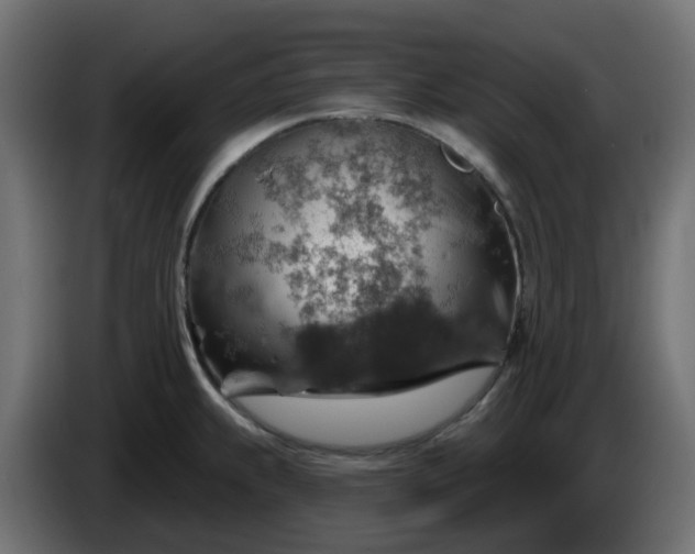 X0000086321239200704131646