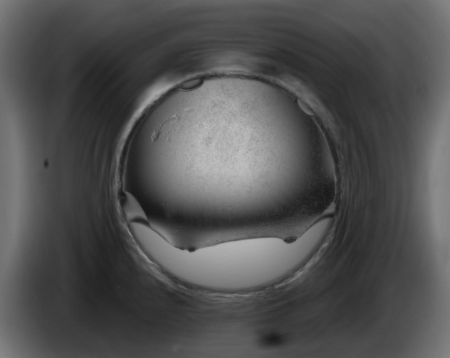 X0000086321240200704131646