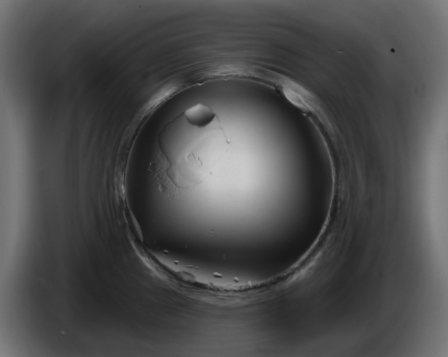 X0000086321241200704131646