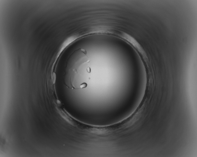 X0000086321242200704131646