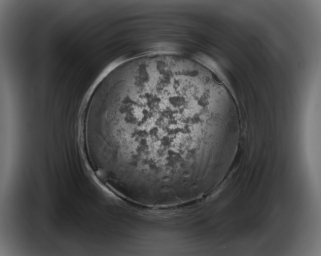 X0000086321243200704131646