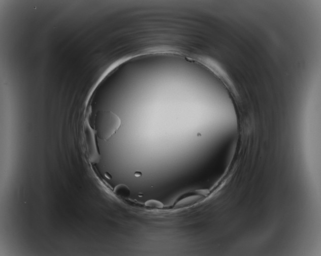 X0000086321244200704131646