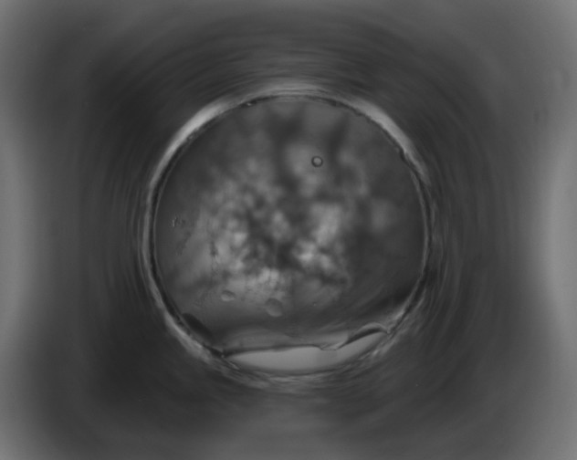 X0000086321245200704131646