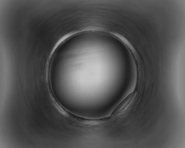 X0000086321246200704131646