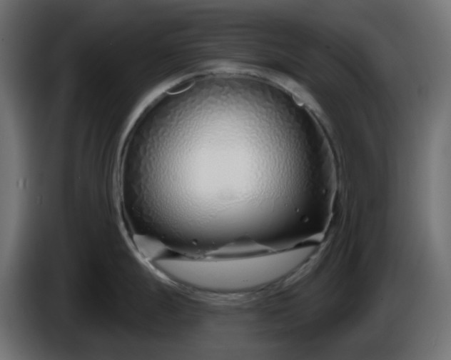 X0000086321247200704131646