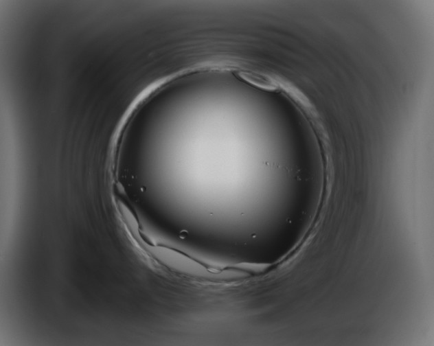 X0000086321248200704131646