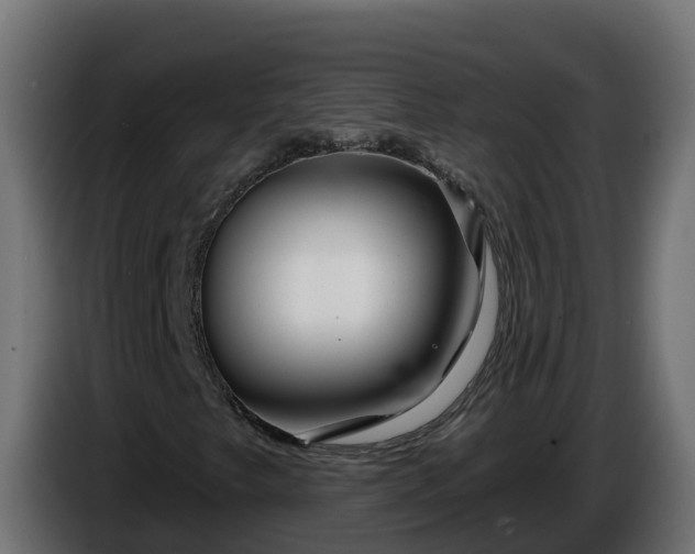 X0000086321249200704131646