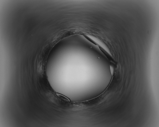 X0000086321250200704131646