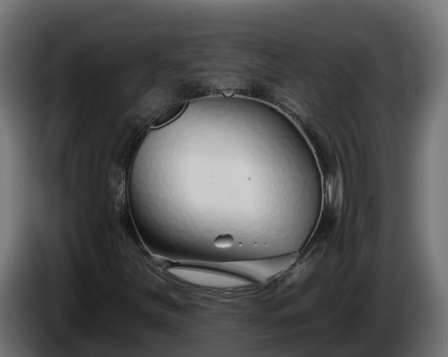 X0000086321251200704131646