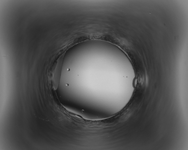 X0000086321252200704131646