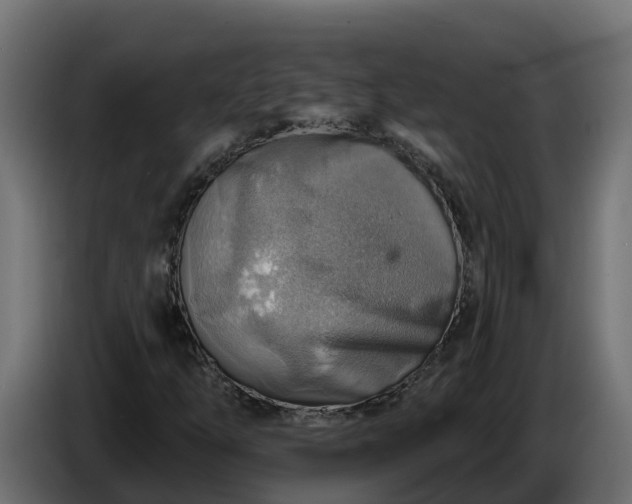 X0000086321254200704131646