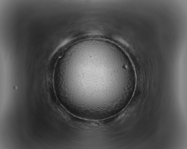 X0000086321255200704131646