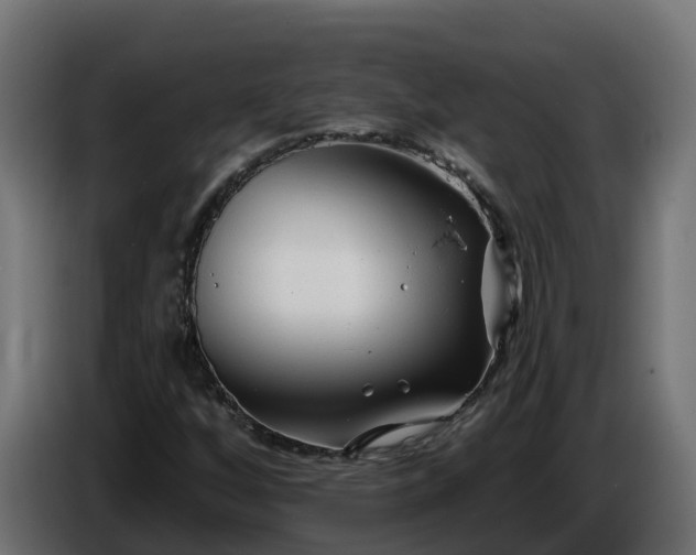 X0000086321256200704131646