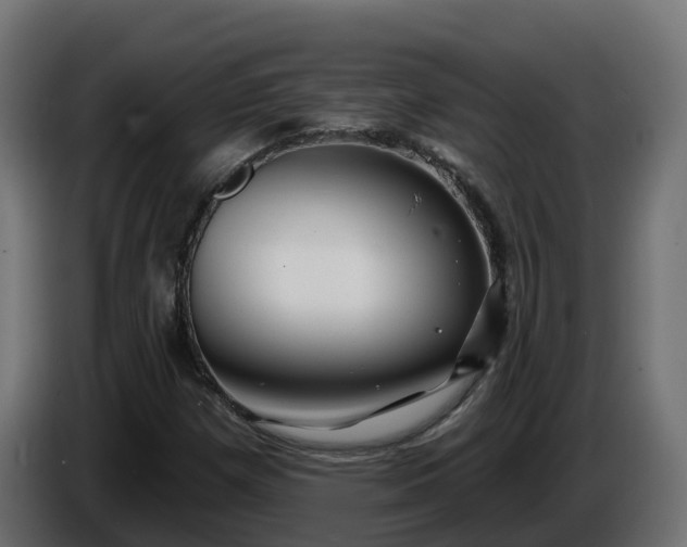 X0000086321257200704131646