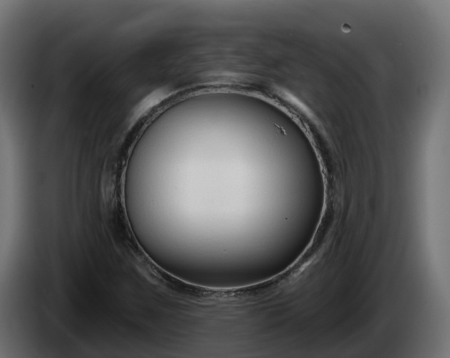 X0000086321259200704131646