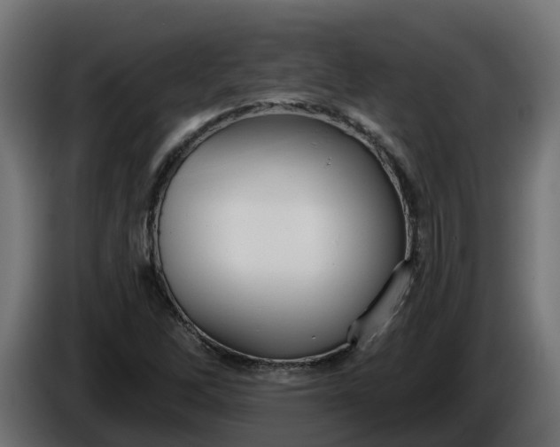 X0000086321262200704131646