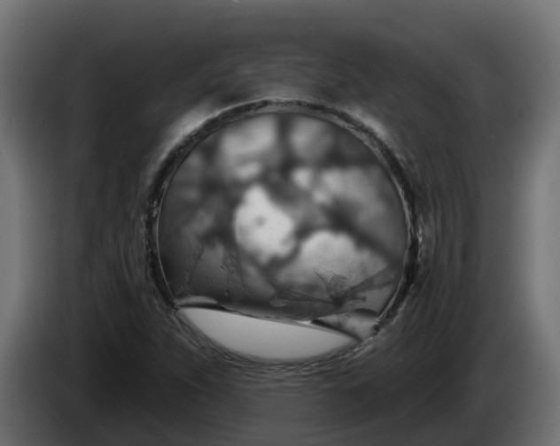 X0000086321263200704131646