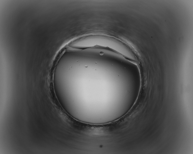 X0000086321264200704131646