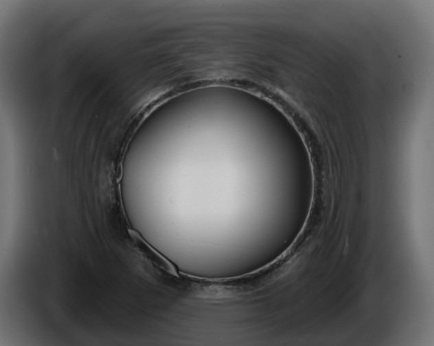 X0000086321265200704131646