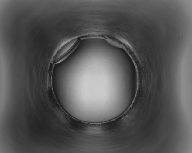 X0000086321267200704131646