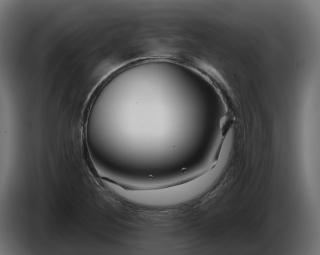 X0000086321268200704131645