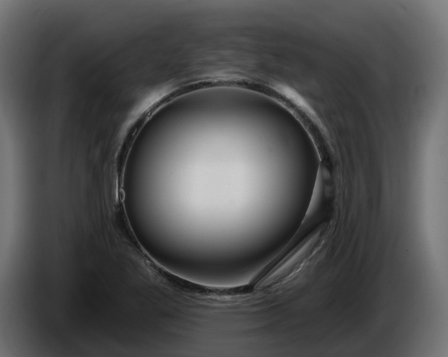 X0000086321269200704131645