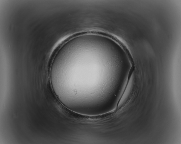 X0000086321271200704131645