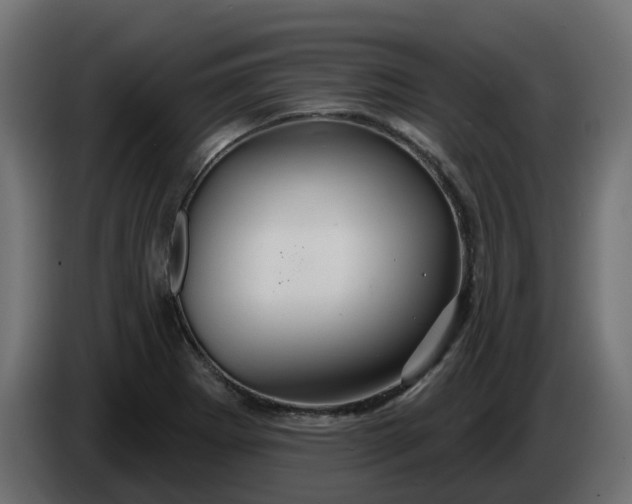 X0000086321273200704131645