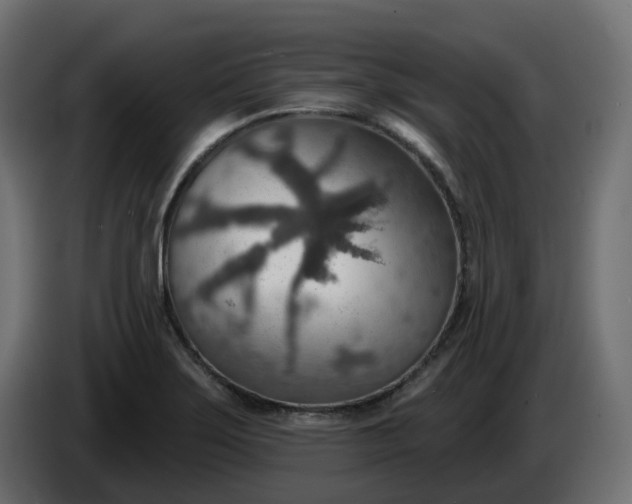 X0000086321275200704131645