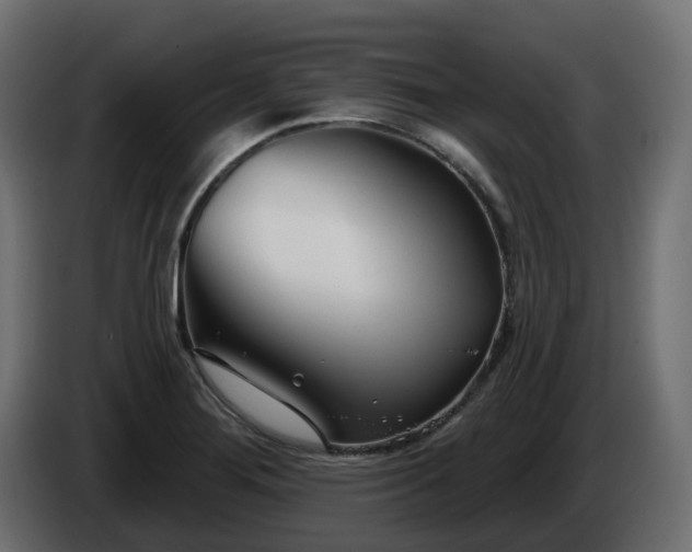 X0000086321276200704131645