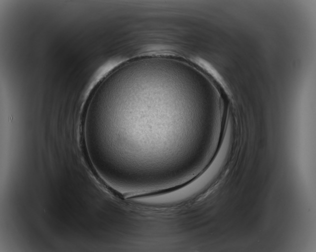 X0000086321277200704131645