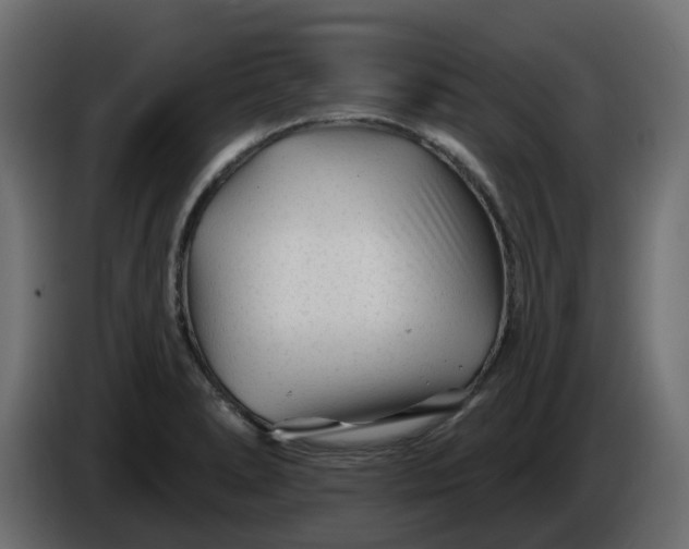 X0000086321278200704131645