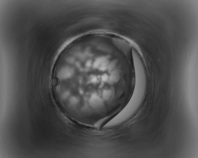 X0000086321279200704131645