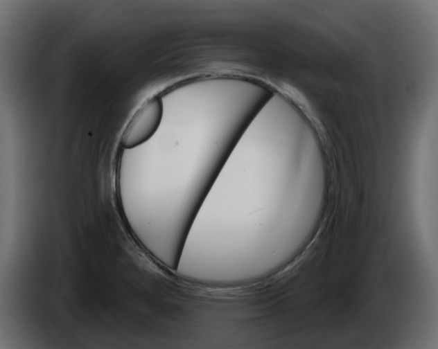 X0000086321280200704131645