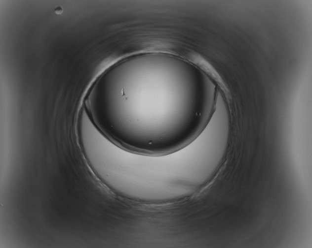 X0000086321284200704131645