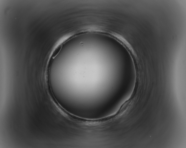 X0000086321285200704131645