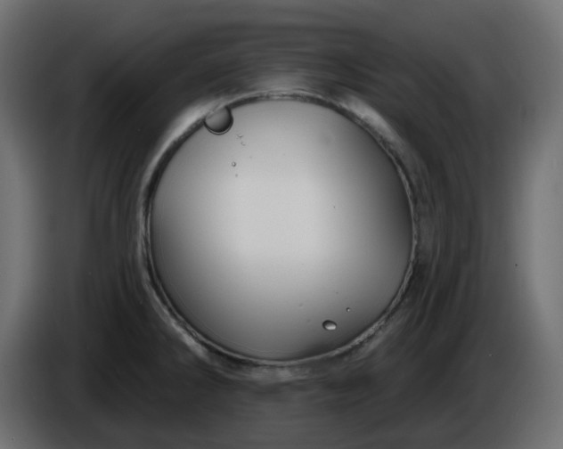 X0000086321286200704131645