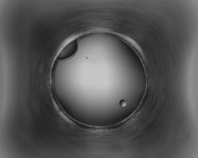 X0000086321287200704131645