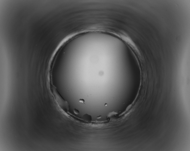 X0000086321288200704131645