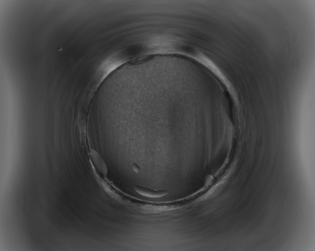 X0000086321289200704131645